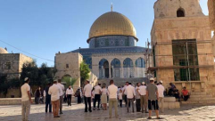 جولات استفزازية للمستوطنين في ساحات الاقصى المبارك 